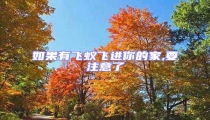 如果有飞蚁飞进你的家,要注意了