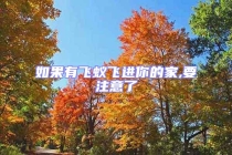 如果有飞蚁飞进你的家,要注意了
