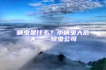 螨虫是什么？小螨虫大危害——除虫公司