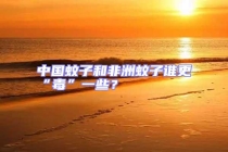 中国蚊子和非洲蚊子谁更“毒”一些？