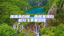 深圳杀白蚁,市民发现白蚁分飞不要恐慌