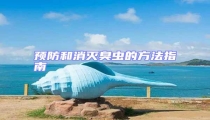 预防和消灭臭虫的方法指南