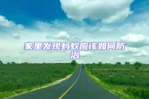 家里发现蚂蚁应该如何防治
