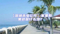 【深圳杀虫公司】家里有黑色是什么虫?