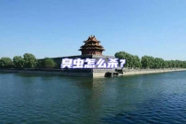 臭虫怎么杀？