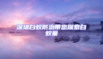 深圳白蚁防治带您探索白蚁巢