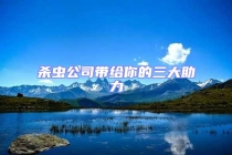 杀虫公司带给你的三大助力