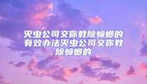 灭虫公司交你教除蟑螂的有效办法灭虫公司交你教除蟑螂的