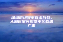 深圳市场哪里有杀白蚁，太湖世家等别墅小区蚁患严重