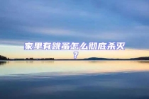 家里有跳蚤怎么彻底杀灭？