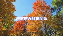 白蚁的天敌是什么