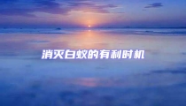 消灭白蚁的有利时机