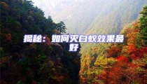 揭秘:如何灭白蚁效果最好