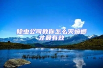 除虫公司教你怎么灭蟑螂才最有效