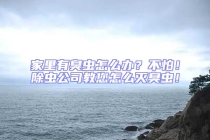 家里有臭虫怎么办？不怕！除虫公司教您怎么灭臭虫！