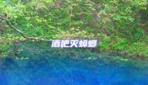 酒吧灭蟑螂
