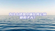 为什么德国小蠊比其它蟑螂胆子大？