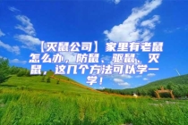 【灭鼠公司】家里有老鼠怎么办，防鼠、驱鼠、灭鼠，这几个方法可以学一学！