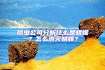 除虫公司分析什么是蛾蠓？怎么消灭蛾蠓？