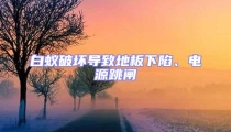 白蚁破坏导致地板下陷、电源跳闸