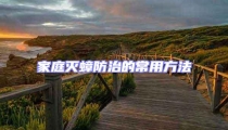 家庭灭蟑防治的常用方法