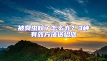 被臭虫咬了怎么办?3种有效方法送给您