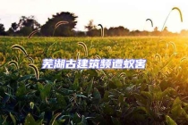 芜湖古建筑频遭蚁害