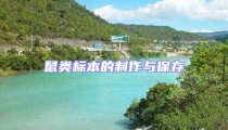鼠类标本的制作与保存