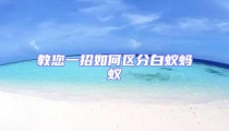 教您一招如何区分白蚁蚂蚁