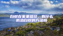 白蚁在家里猖狂，有什么防治白蚁的方法吗