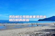 灭白蚁公司简析家装后出现白蚁的原因