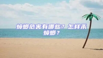 蟑螂危害有哪些?怎样杀蟑螂?