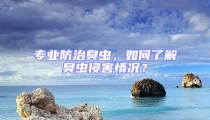 专业防治臭虫，如何了解臭虫侵害情况？