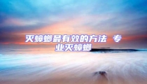 灭蟑螂最有效的方法 专业灭蟑螂