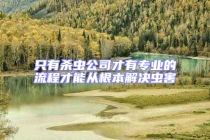 只有杀虫公司才有专业的流程才能从根本解决虫害