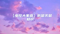【虫控大家庭】防鼠灭鼠知识