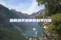 彻底消灭蟑螂的科学方法