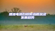 埋地电缆白蚁防治概况及发展趋势