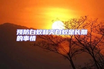 预防白蚁和灭白蚁是长期的事情