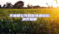 灭蟑螂公司教你快速轻松消灭蟑螂