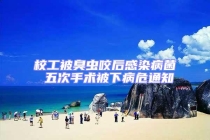 校工被臭虫咬后感染病菌 五次手术被下病危通知