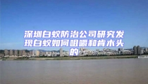 深圳白蚁防治公司研究发现白蚁如何咀嚼和肯木头的