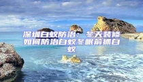 深圳白蚁防治:冬天装修如何防治白蚁冬眠前抓白蚁