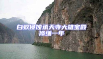 白蚁侵蚀承天寺大雄宝殿修缮一年