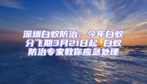 深圳白蚁防治:今年白蚁分飞期3月21日起 白蚁防治专家教你应急处理