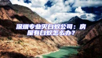 深圳专业灭白蚁公司：房屋有白蚁怎么办？