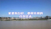 家里有白蚁,要用专用的药剂灭杀