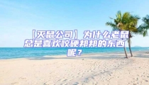 【灭鼠公司】为什么老鼠总是喜欢咬硬邦邦的东西呢？