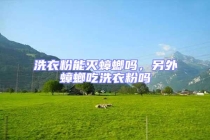 洗衣粉能灭蟑螂吗，另外蟑螂吃洗衣粉吗