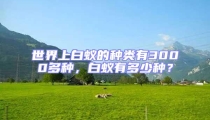 世界上白蚁的种类有3000多种，白蚁有多少种？